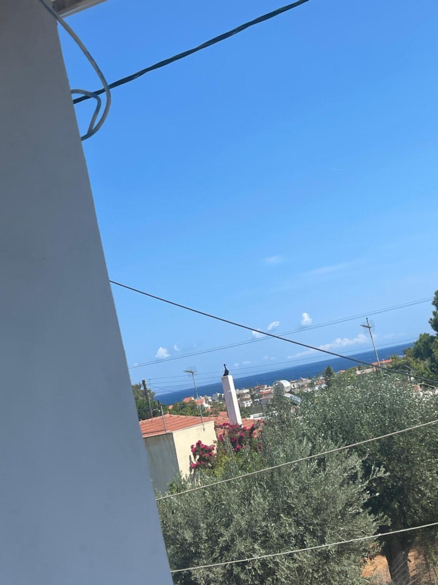John's Shared Apartment Artemida (Attica)
